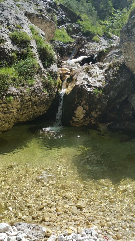 Oberaichwald  Gaestehaus Karoline מראה חיצוני תמונה